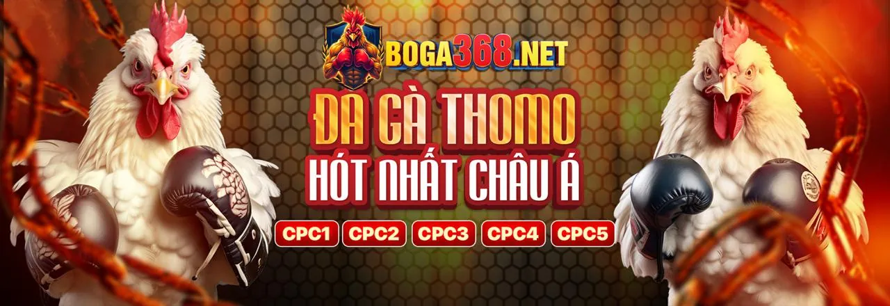 Sự kiện săn cá