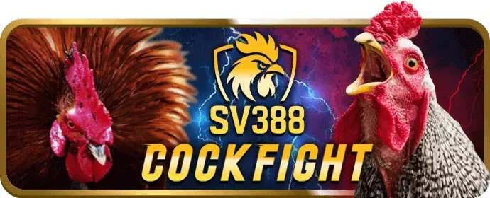 Giải thích cơ chế RNG và RTP của máy slots